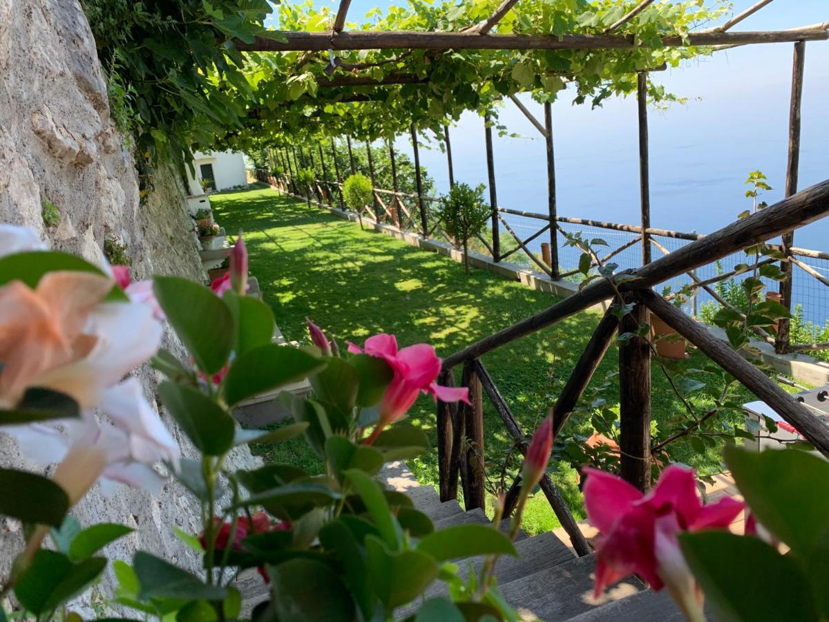 Country House Sant Alfonso Фуроре Экстерьер фото