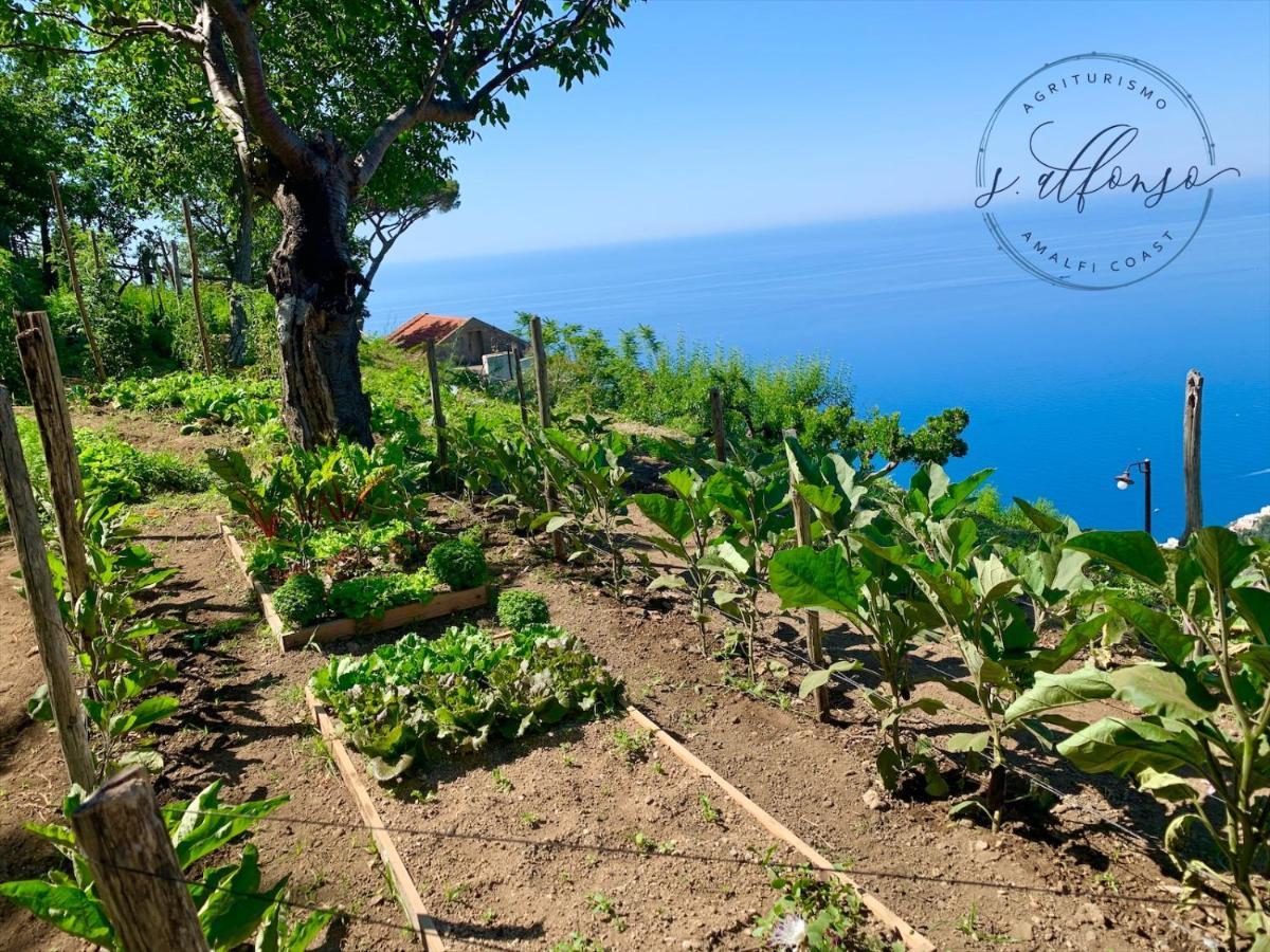 Country House Sant Alfonso Фуроре Экстерьер фото
